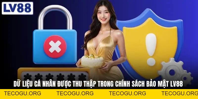 Chính Sách Bảo Mật LV88 - Đọc Hết Để Nắm Quyền Riêng Tư