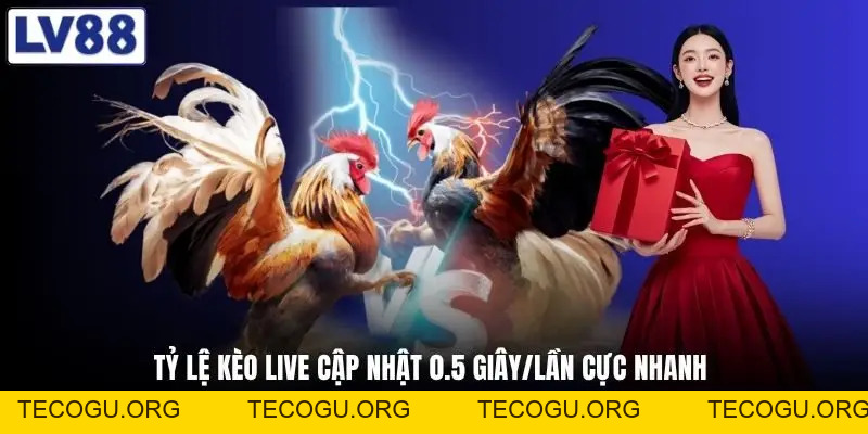 Đá gà LV88 - Xem Trực Tiếp 4K Và Nhận Thưởng 88 Triệu Đồng