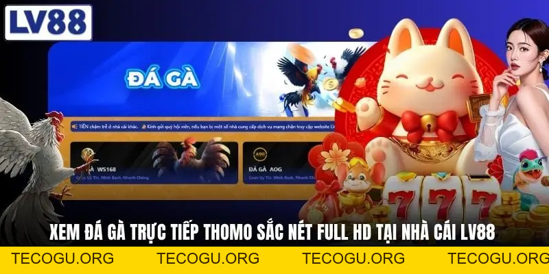 LV88 tecogu.org - Nhà Cái lv88.com, Tải App LV88 +888K